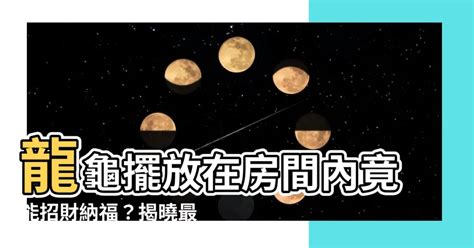 龍龜可以放房間嗎|龍龜功效、龍龜寓意、龍龜禁忌、龍龜供養、龍龜擺放。